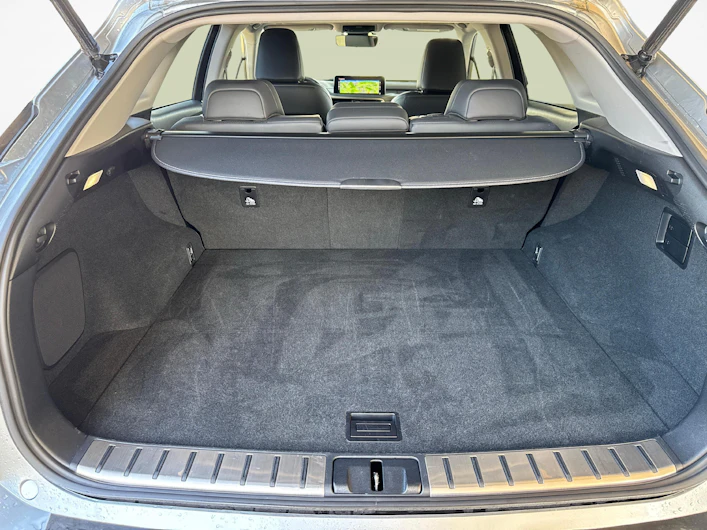 immagine del veicolo LEXUS RX