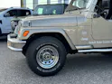 Jeep Wrangler 4.0 Sahara Hardtop