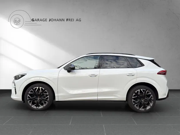 Cupra Terramar 2.0 TSI DSG 4Drive VZ