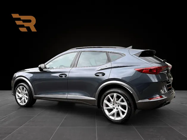 Cupra Formentor 2.0TSI 4Drive Sensacion DSG