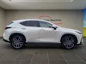 Lexus NX 450h+ Excellence AWD