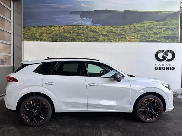 Cupra Terramar 2.0 TSI DSG 4Drive VZ