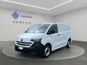 VW Transporter Kastenwagen