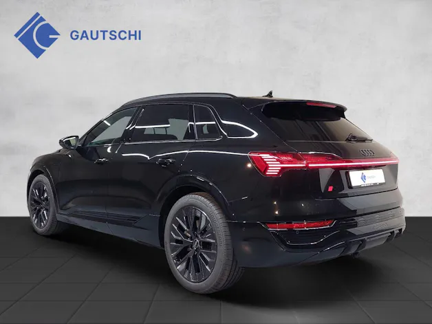 Audi Q8 50 e-tron S line quattro
