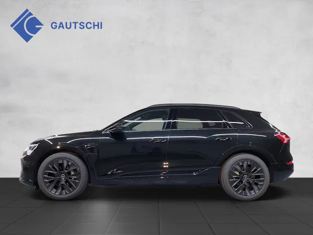 Audi Q8 50 e-tron S line quattro