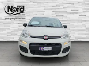 Fiat Panda 1.2 69 Easy