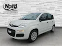Fiat Panda 1.2 69 Easy