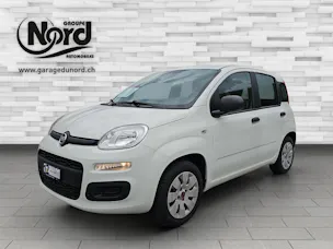 Fiat Panda 1.2 69 Easy