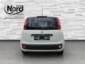 Fiat Panda 1.2 69 Easy