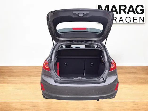 Ford Fiesta 1.0 EcoB 125 Titanium