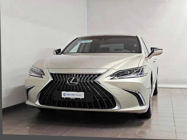 Lexus ES 300h Excellence - Pneumatici invernali inclusi