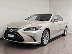Lexus ES 300h Excellence - Pneumatici invernali inclusi