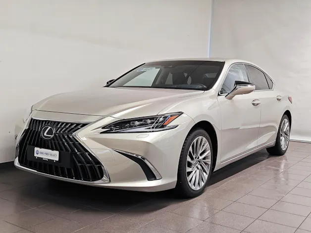 Lexus ES 300h Excellence - Pneumatici invernali inclusi