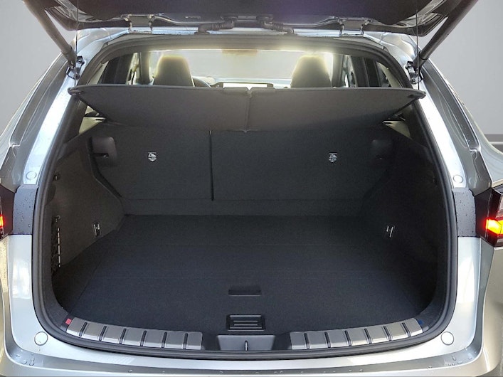 Vehicle image LEXUS NX