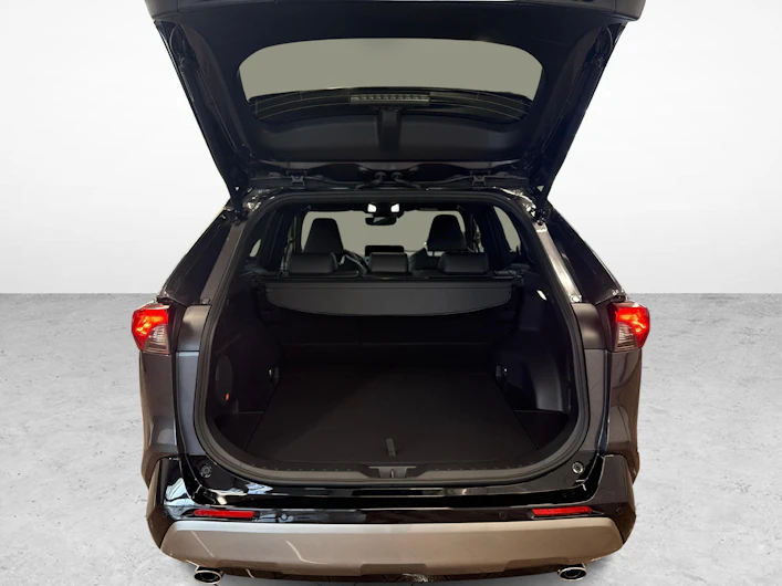 immagine del veicolo TOYOTA RAV-4