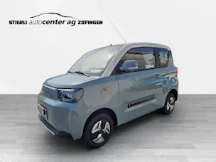 BAW Pony Electric