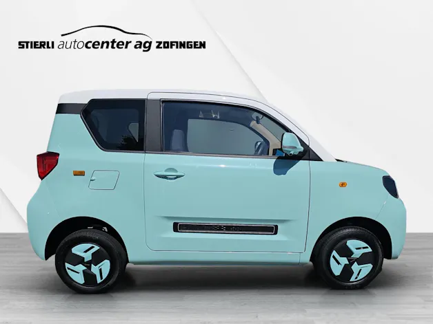 BAW Pony Electric