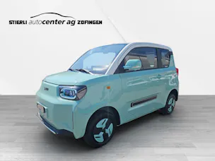 BAW Pony Electric