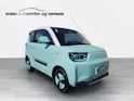 BAW Pony Electric