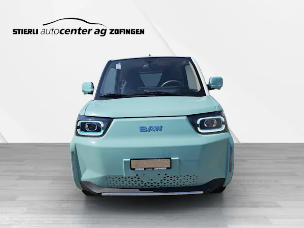 BAW Pony Electric