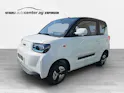 BAW Pony Electric