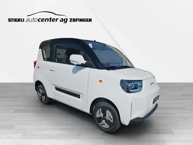 BAW Pony Electric