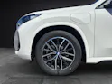 BMW X1 30e xDrive