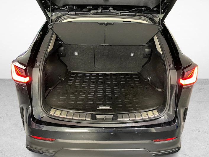 Fahrzeugbild LEXUS NX