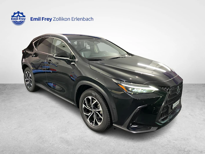 Fahrzeugbild LEXUS NX