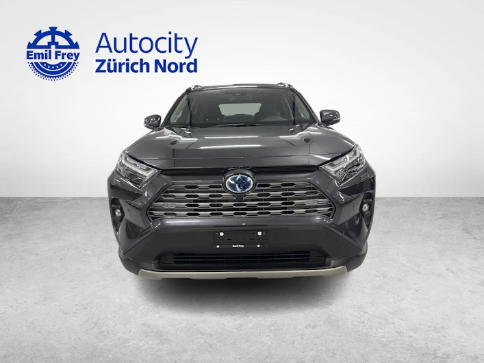 immagine del veicolo TOYOTA RAV-4