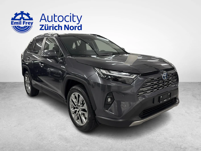 immagine del veicolo TOYOTA RAV-4