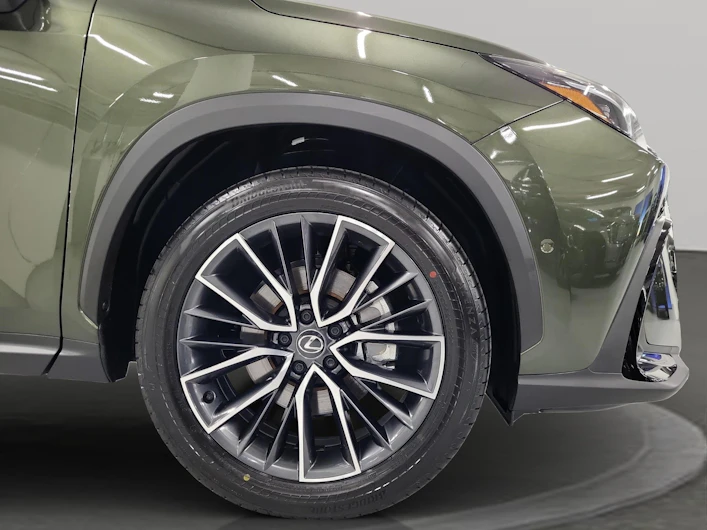 Fahrzeugbild LEXUS NX