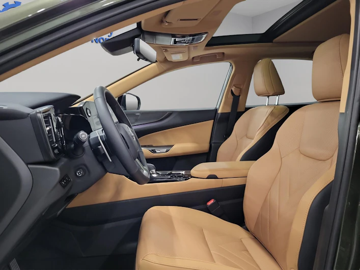 Fahrzeugbild LEXUS NX