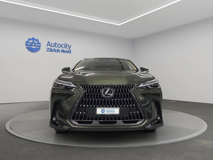 Fahrzeugbild LEXUS NX