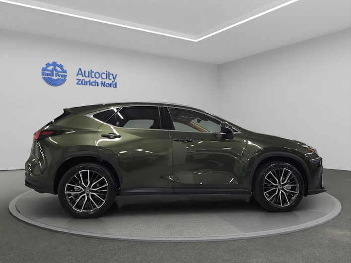 Fahrzeugbild LEXUS NX