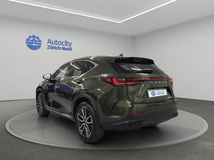 Fahrzeugbild LEXUS NX