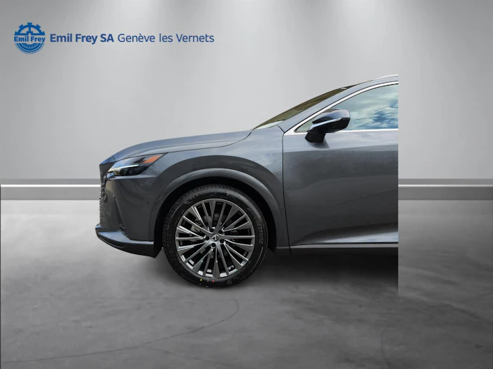 Fahrzeugbild LEXUS RX