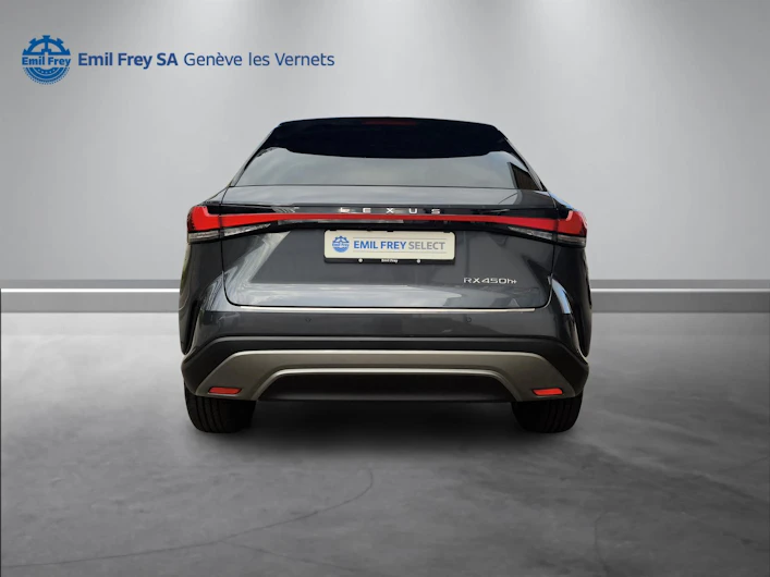 Fahrzeugbild LEXUS RX