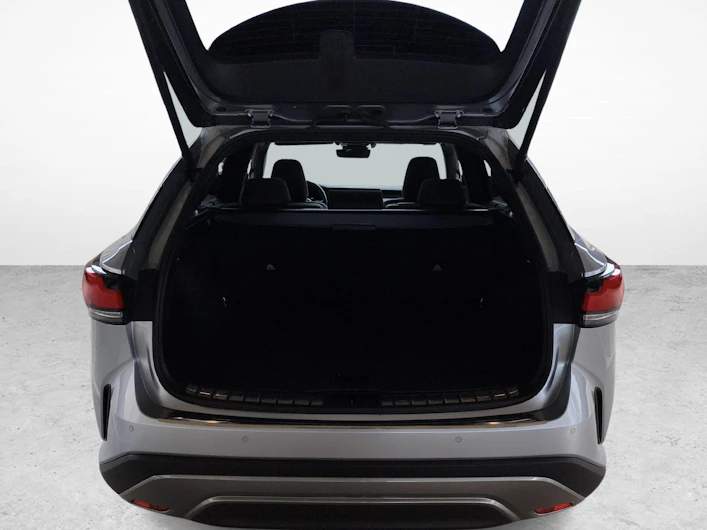 Fahrzeugbild LEXUS RX