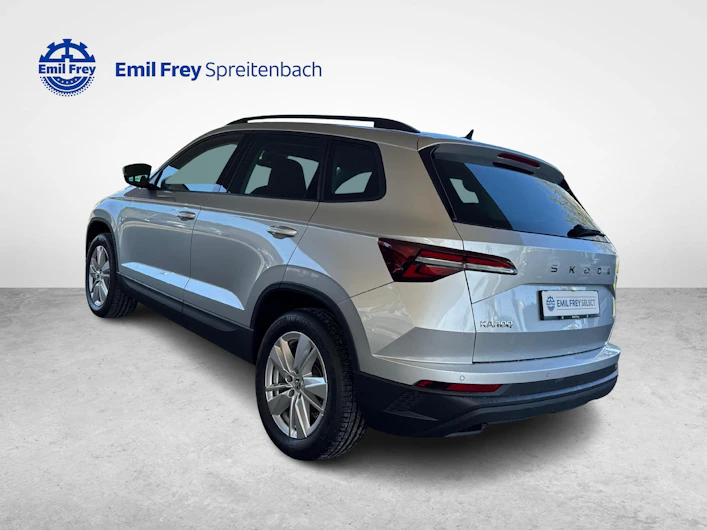 immagine del veicolo SKODA KAROQ