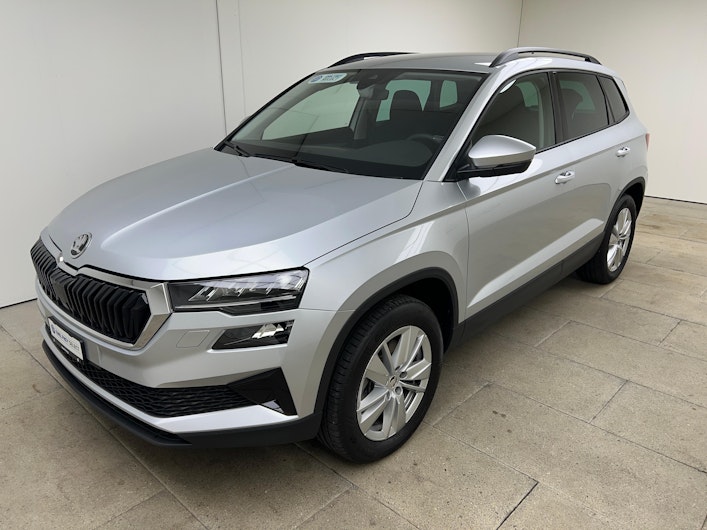 Vehicle image SKODA KAROQ