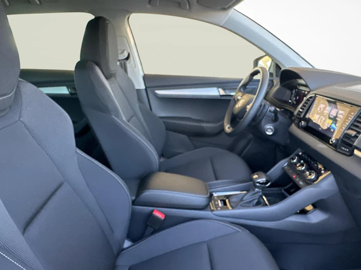 immagine del veicolo SKODA KAROQ