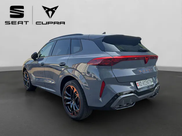 Cupra Terramar 2.0 TSI DSG 4Drive VZ