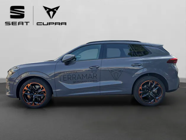 Cupra Terramar 2.0 TSI DSG 4Drive VZ