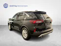 FORD Kuga 2.5 Hybrid Titanium 4x4