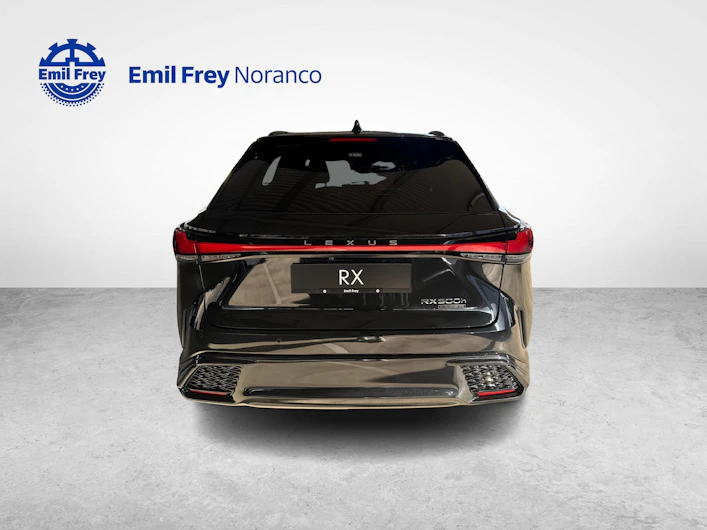 Fahrzeugbild LEXUS RX