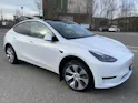 Tesla Model Y Basis