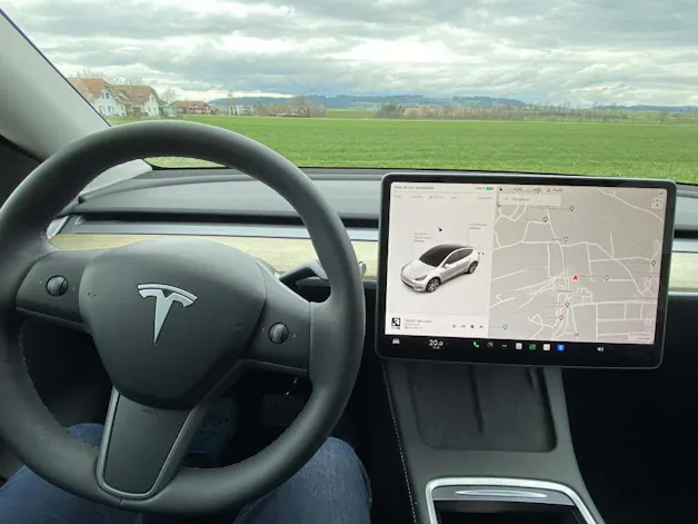 Tesla Model Y Basis