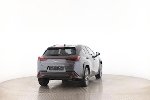 Vehicle image LEXUS UX 300h F-Line