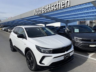 Vehicle image OPEL GRANDLAND 0